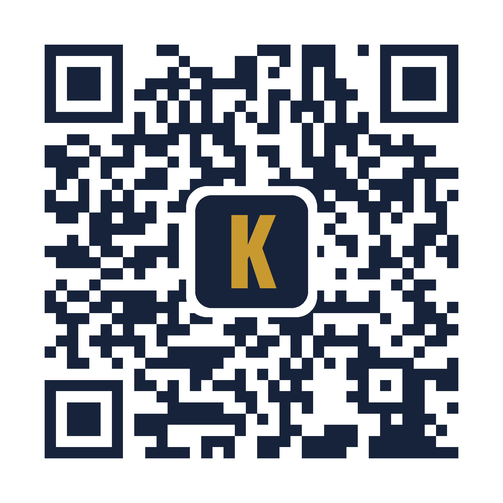 Codice QR che apre listino-play.kingvernici.it